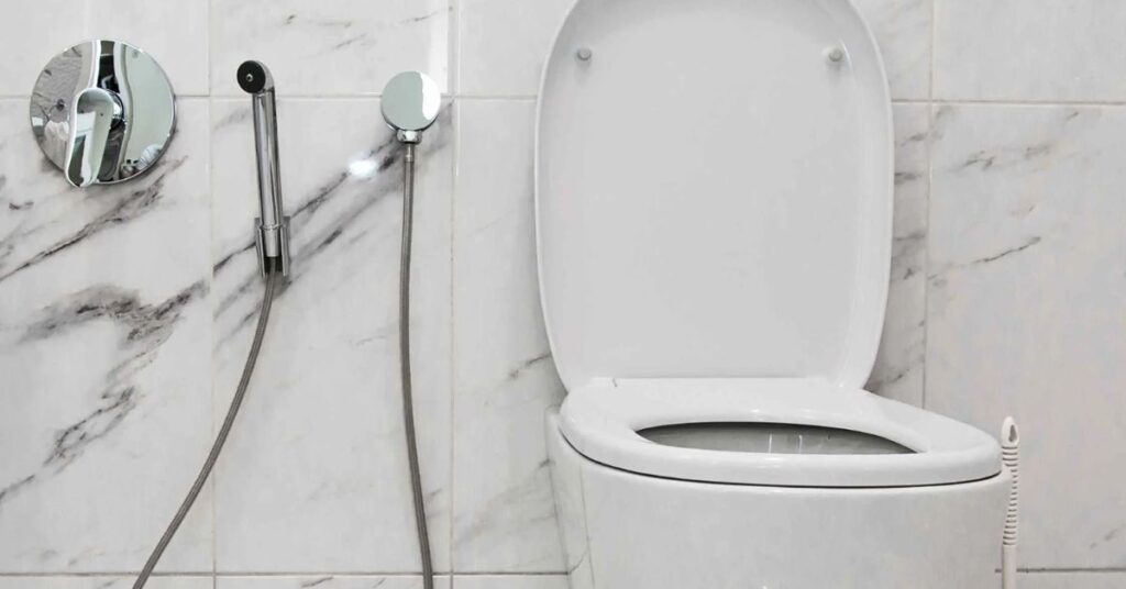 Replace A Toilet In Sydney